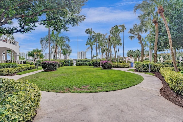 view of community with a lawn