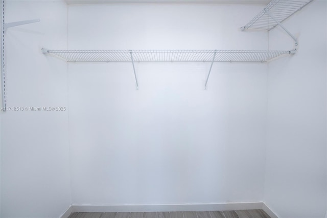 spacious closet featuring wood-type flooring