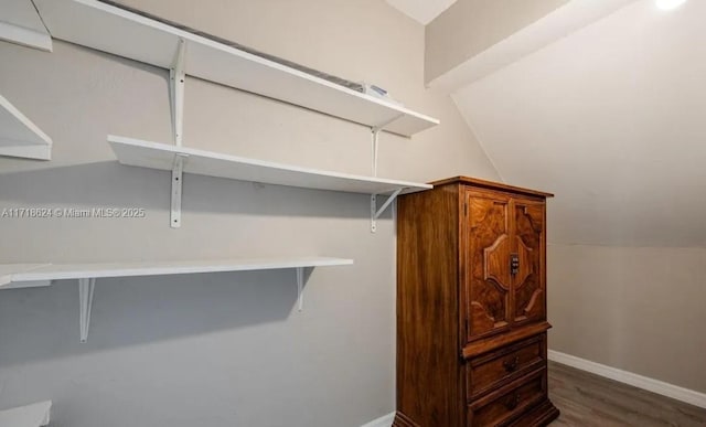 walk in closet with dark hardwood / wood-style floors and lofted ceiling