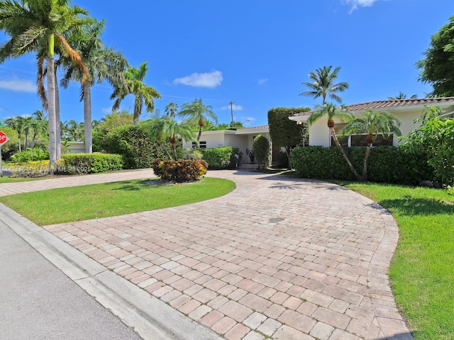 view of front of house with a front yard