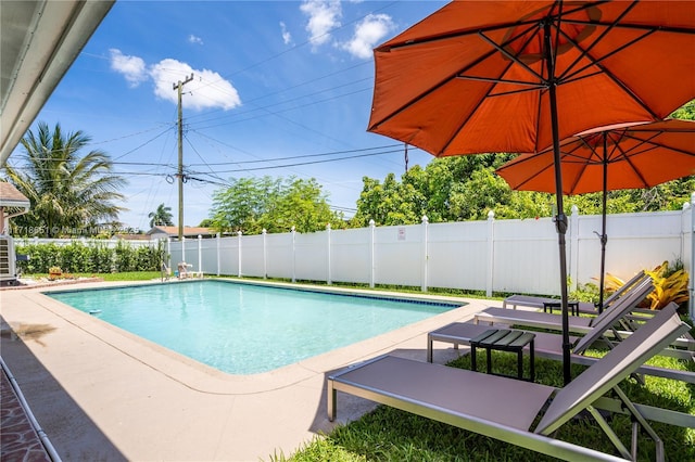 view of swimming pool