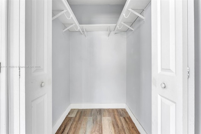 spacious closet with hardwood / wood-style floors