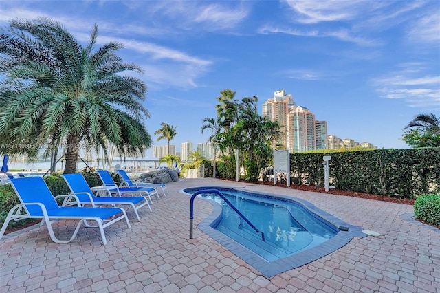 view of swimming pool featuring a patio