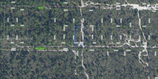 2300 Honey Dew Ave, Sebring FL, 33875 land for sale