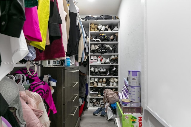 walk in closet featuring hardwood / wood-style flooring