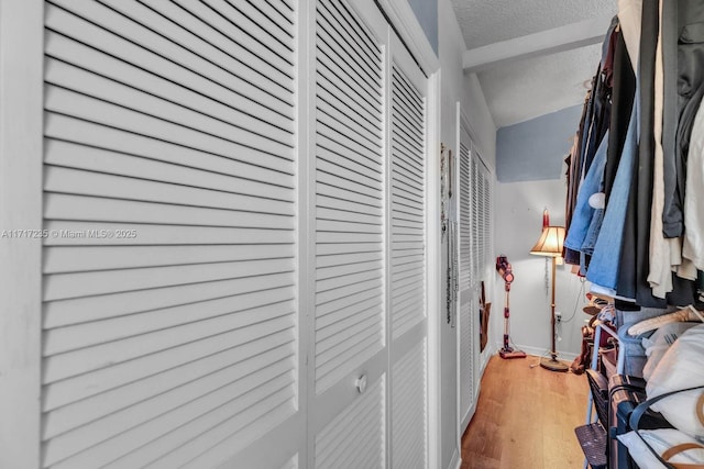 spacious closet featuring wood-type flooring