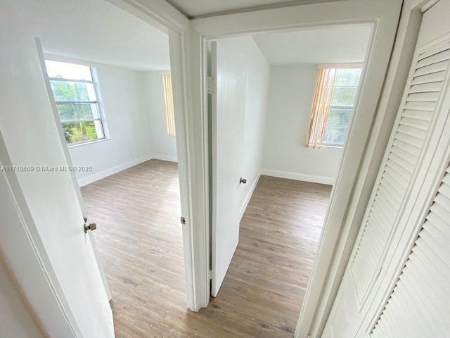 hall with light hardwood / wood-style flooring