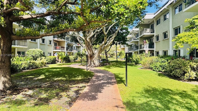 view of community with a lawn