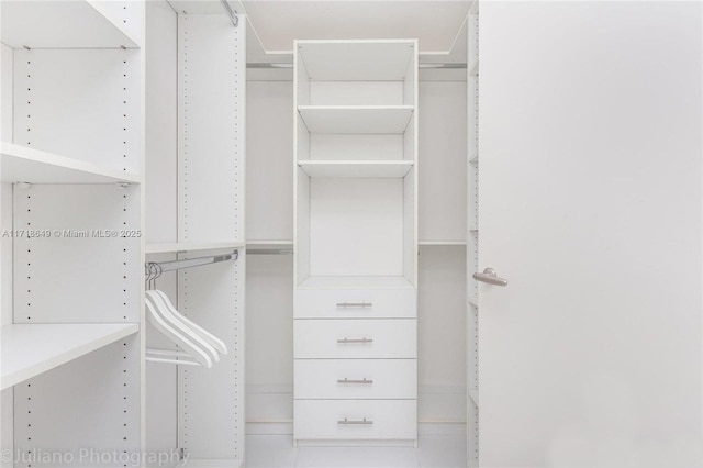 view of spacious closet