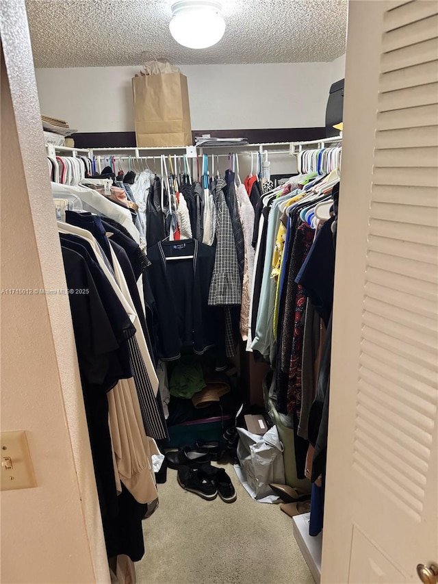 spacious closet featuring carpet flooring