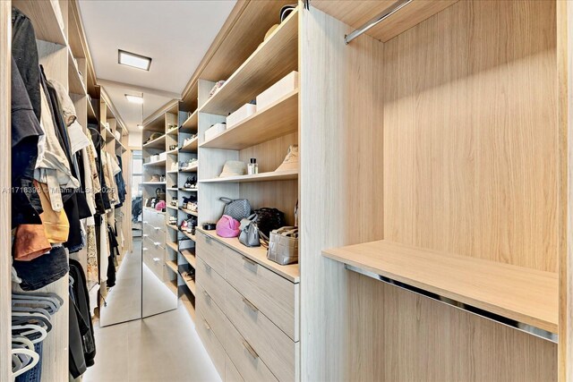 view of walk in closet