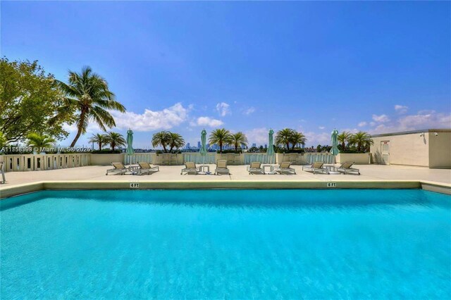 view of pool with a patio