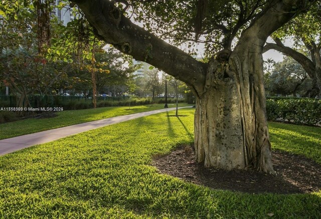 view of home's community featuring a lawn