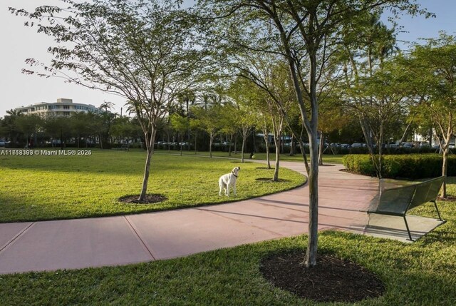 view of community featuring a lawn