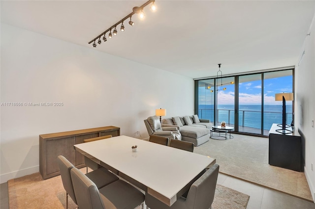 living room with track lighting and floor to ceiling windows