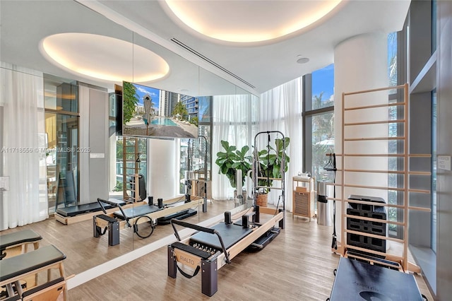 workout area featuring hardwood / wood-style floors, a raised ceiling, and floor to ceiling windows