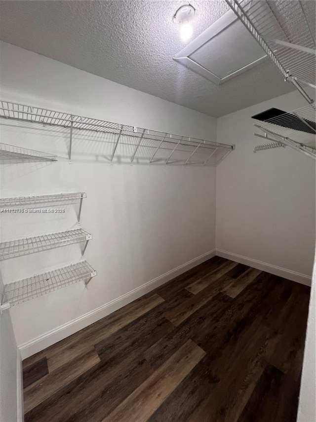 walk in closet with dark hardwood / wood-style floors