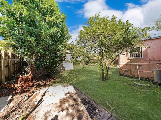 view of yard featuring a patio area