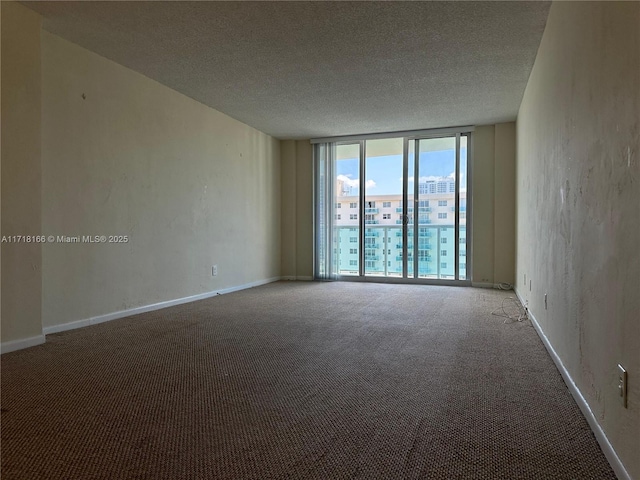 carpeted empty room with a textured ceiling and expansive windows