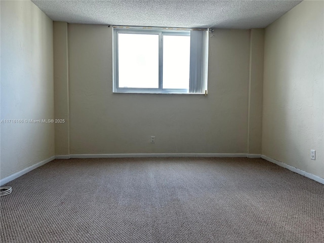 spare room with carpet flooring and a textured ceiling