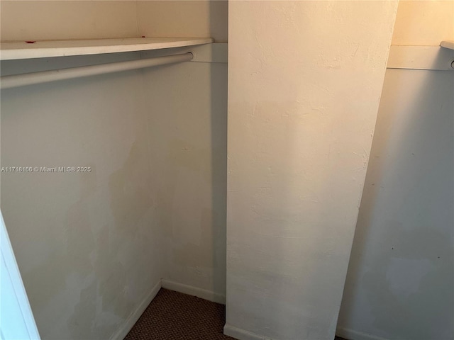 view of closet