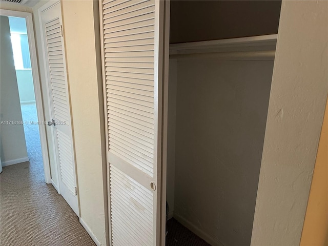 view of closet