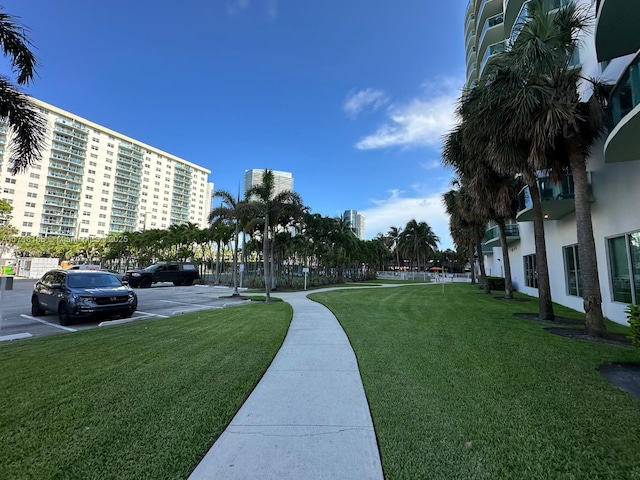 view of community featuring a lawn