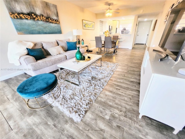 living room featuring hardwood / wood-style floors and ceiling fan