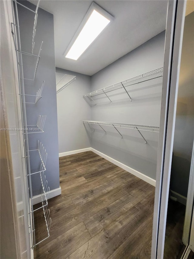 spacious closet with dark wood-type flooring