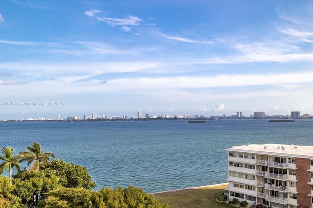 4000 Towerside Ter Unit 908, Miami, FL 33138 - water view featuring skyline