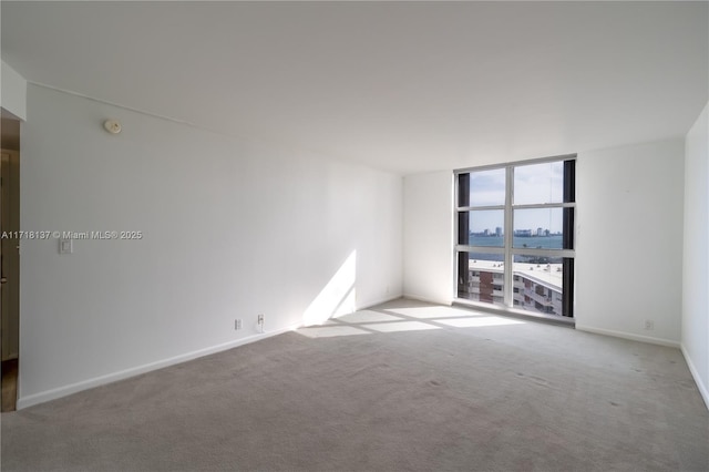 carpeted spare room featuring expansive windows