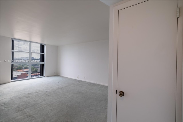 carpeted empty room featuring a wall of windows