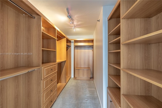 4000 Towerside Ter Unit 908, Miami, FL 33138 - walk in closet featuring light carpet