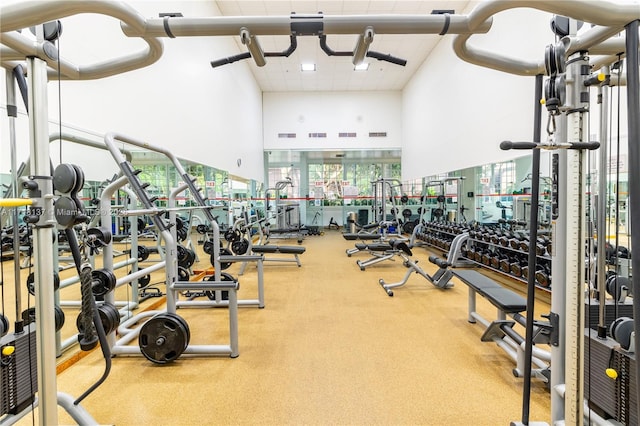 exercise room featuring a towering ceiling