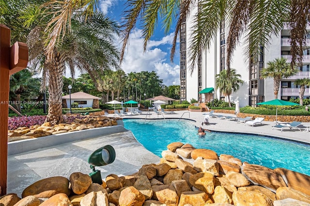 view of swimming pool featuring a patio