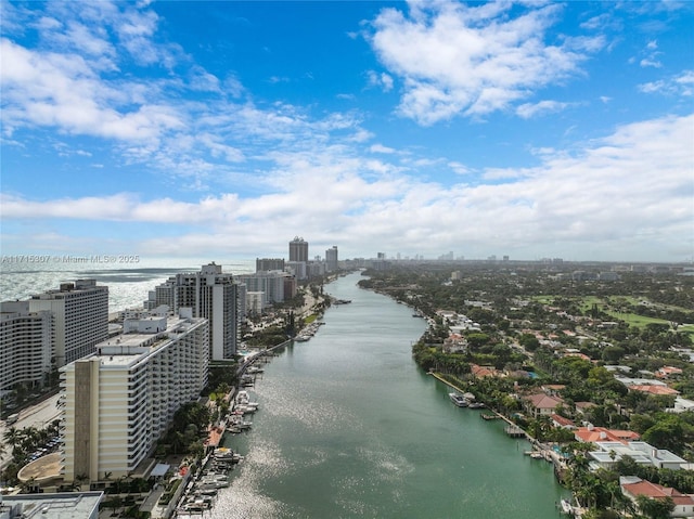 bird's eye view featuring a city view and a water view