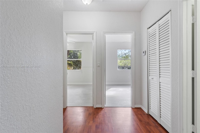 corridor with dark wood-type flooring