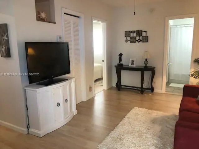 living room featuring wood-type flooring