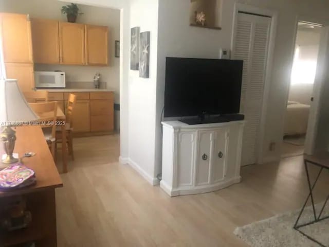 living room featuring light hardwood / wood-style flooring