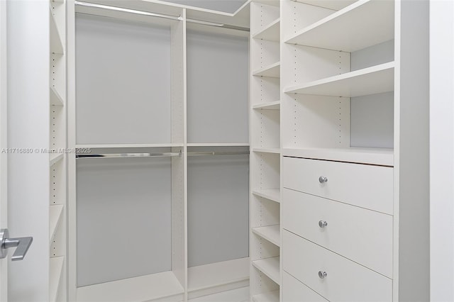 view of spacious closet