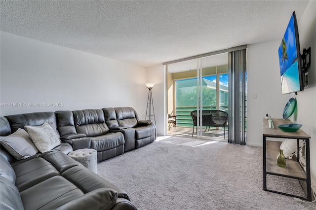 living room with carpet flooring and a textured ceiling