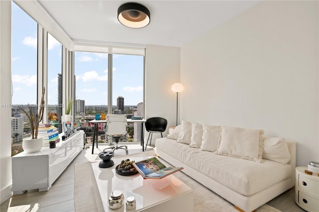 living room featuring expansive windows and light wood-type flooring