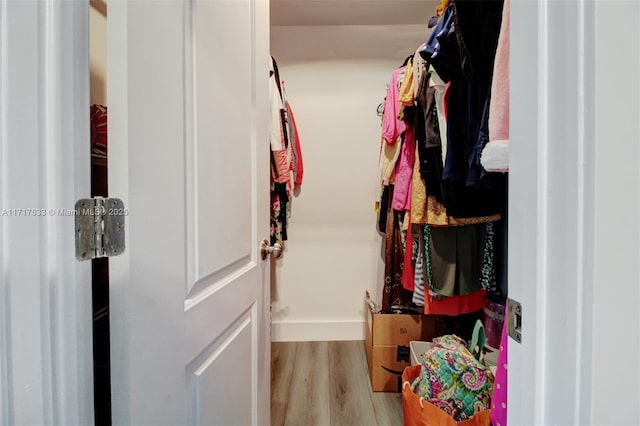 walk in closet with light hardwood / wood-style flooring