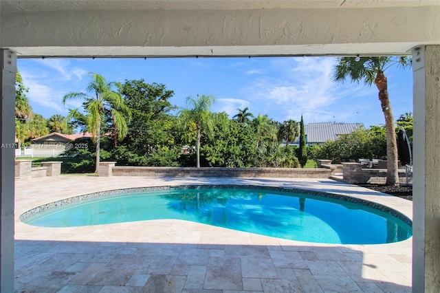 view of swimming pool with a patio area