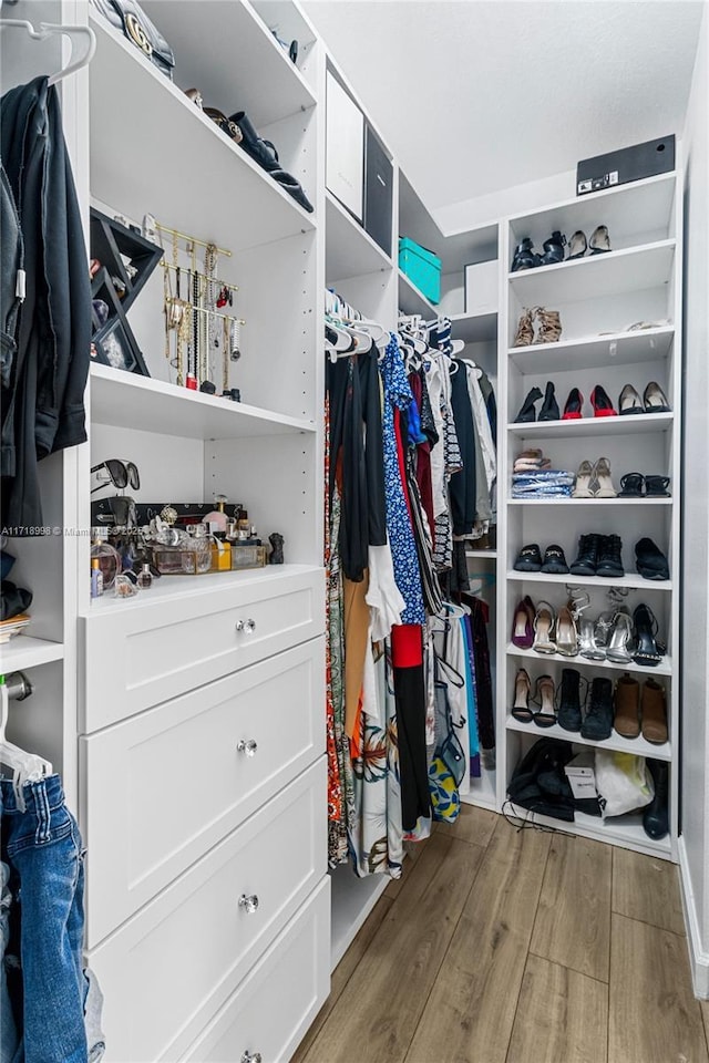 spacious closet with hardwood / wood-style floors