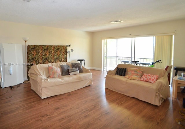 living room featuring hardwood / wood-style floors