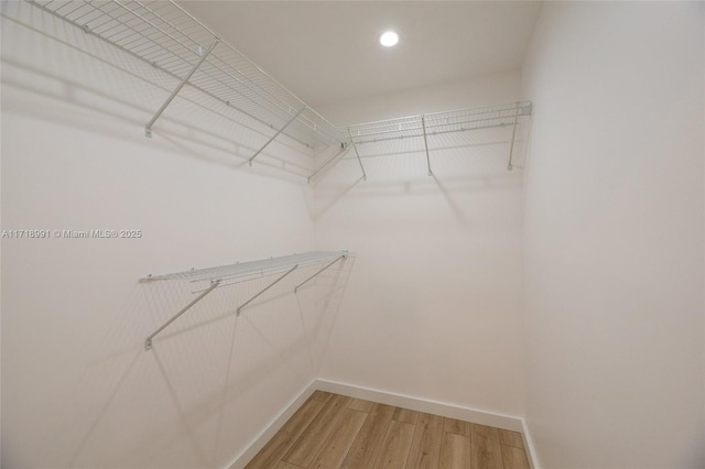 spacious closet featuring wood-type flooring