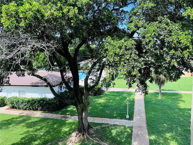 view of community featuring a yard