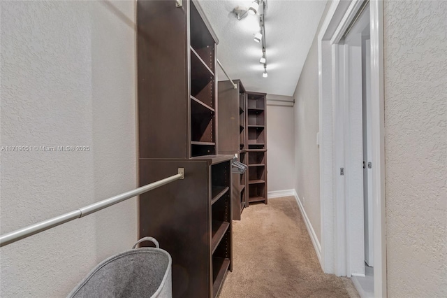 walk in closet with carpet floors