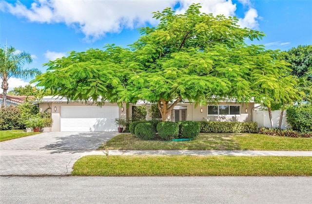 obstructed view of property featuring a front yard